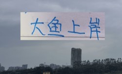 北京国安也是外援大结局了！来了德甲中卫，还有澳超冠军边锋